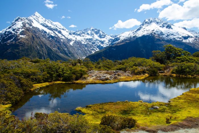 Naturally New Zealand